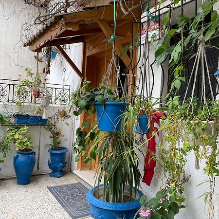 Casa Zitouna - Guest House - Kef, Tunisia Sicca Veneria Εξωτερικό φωτογραφία