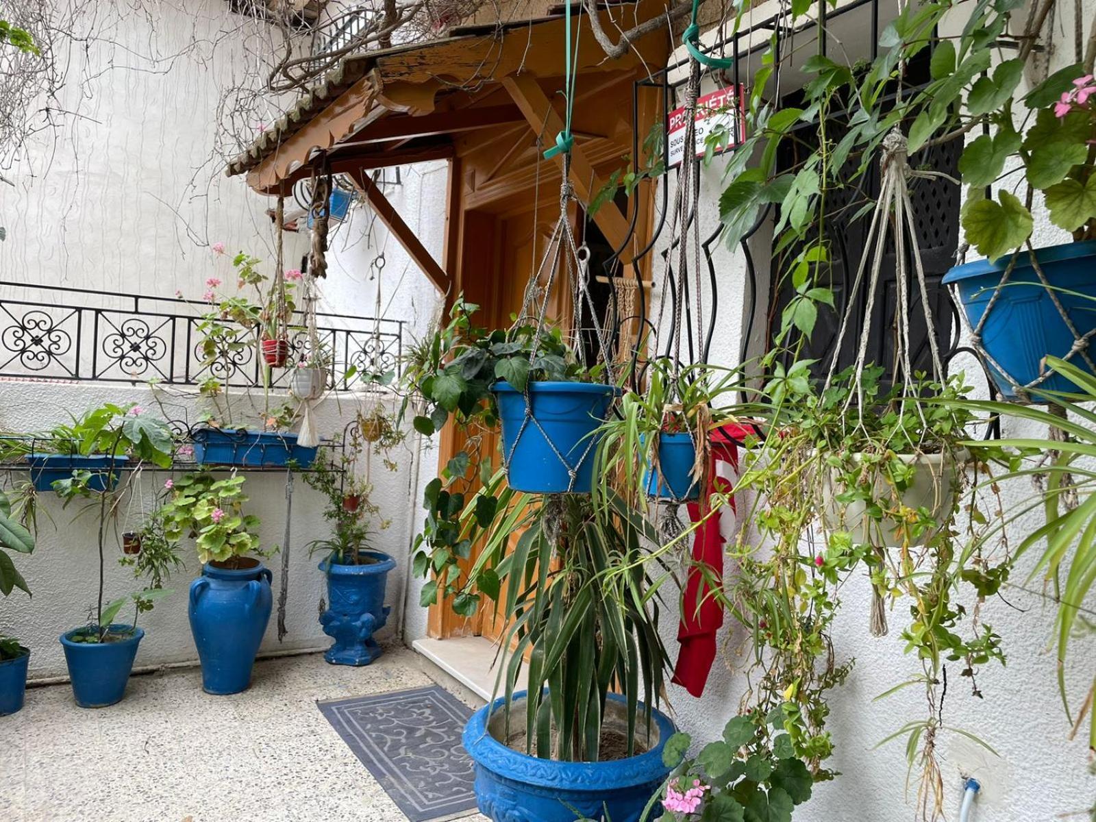 Casa Zitouna - Guest House - Kef, Tunisia Sicca Veneria Εξωτερικό φωτογραφία