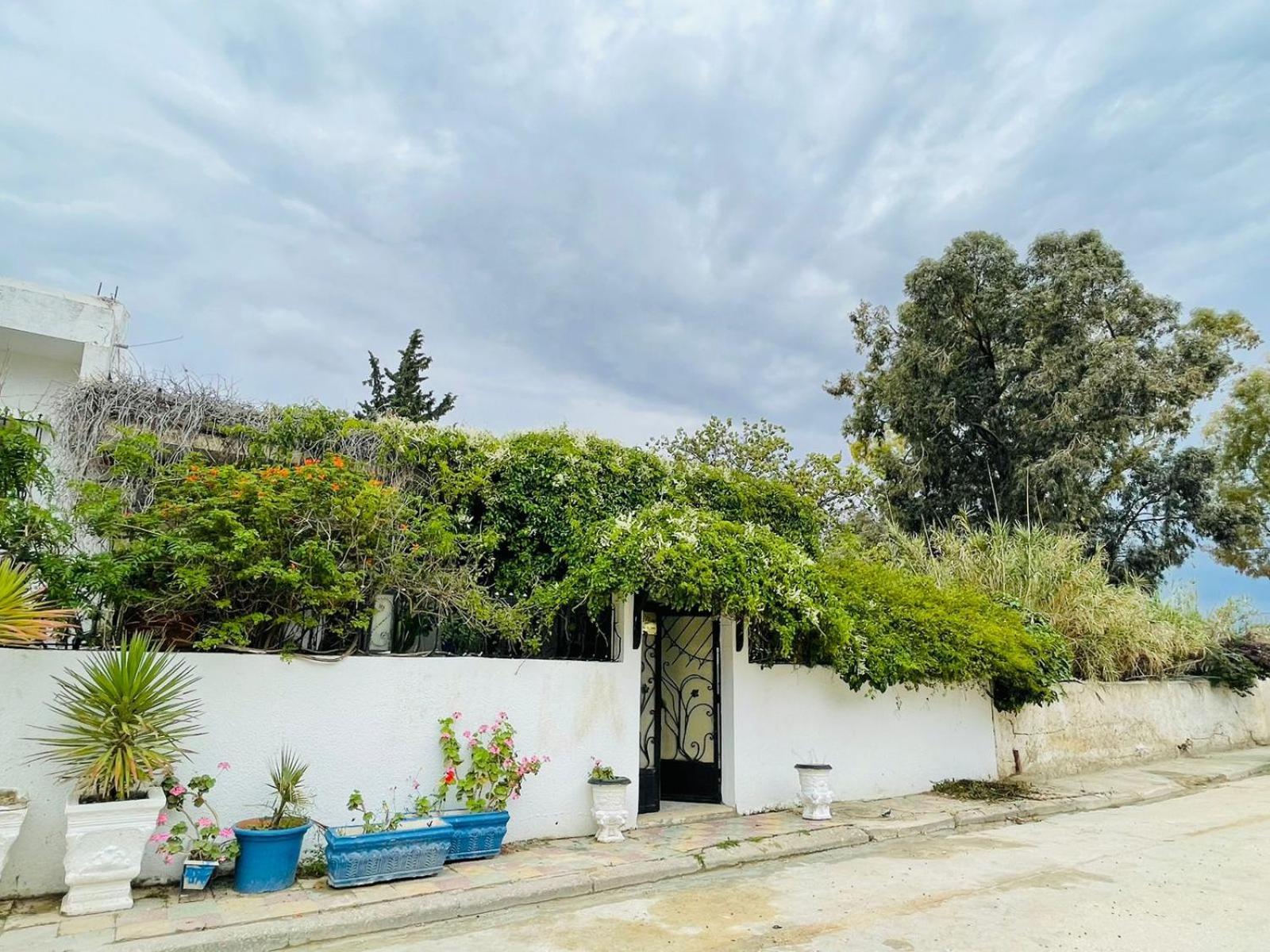Casa Zitouna - Guest House - Kef, Tunisia Sicca Veneria Εξωτερικό φωτογραφία